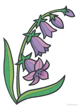 Колокольчик цветок для детей