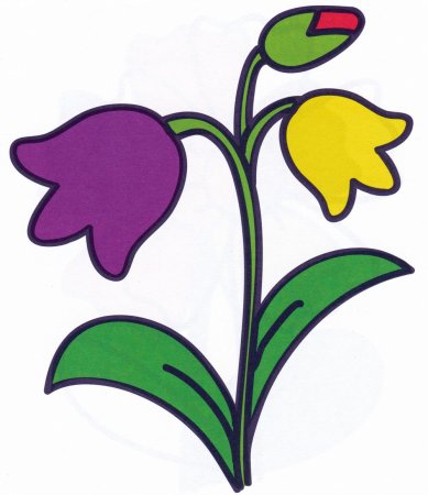 Колокольчик полевой Вьюнок