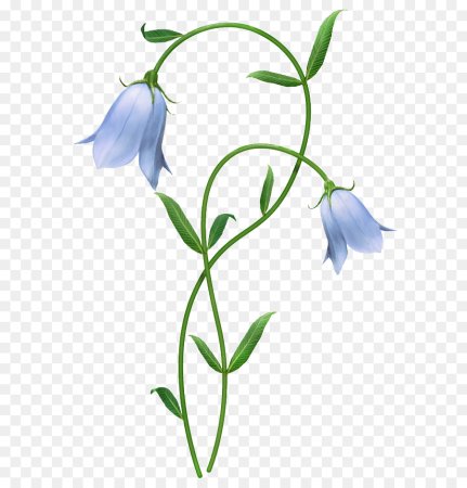 Колокольчик "цветы"