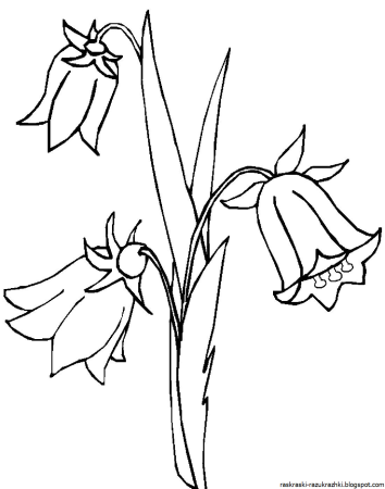 Мультяшные цветы колокольчики