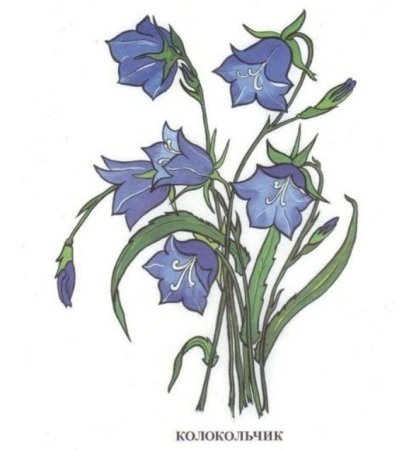Колокольчик "цветы"