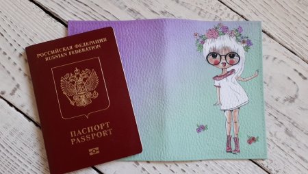 Обложки на паспорт красивые для девочек