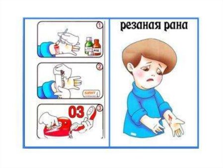 Первая медицинская помощь для дошкольников