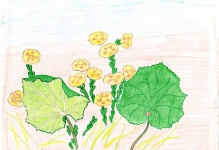 «Мать-и-мачеха» рисование тычками