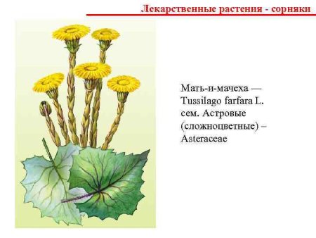 Картина мать и мачеха для детей