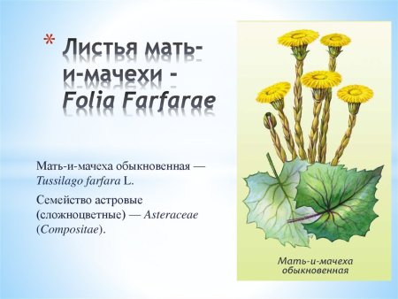 Мать и мачеха иллюстрация