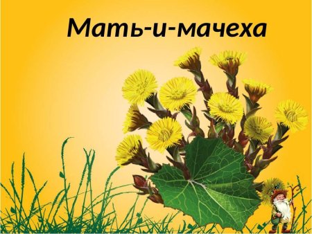 Одуванчики цветными карандашами
