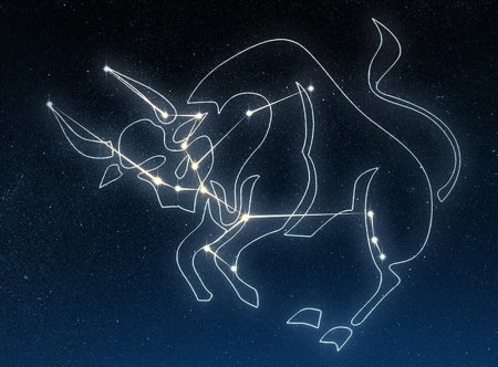 Созвездие тельца Taurus