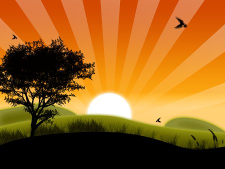 Утро, день, вечер, ночь