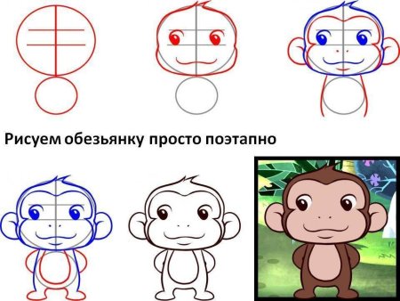 Как нарисовать обезьянку