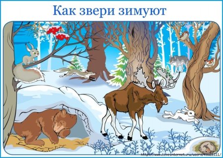 Животные зимой задания для дошкольников