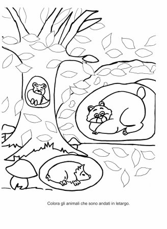 Рисование Дикие животные