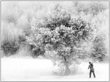 Пейзаж зимние фантазии