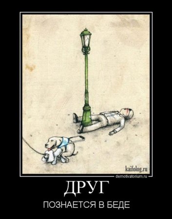 Друзья познаются