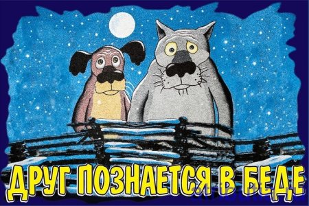 Друзья познаются в беде