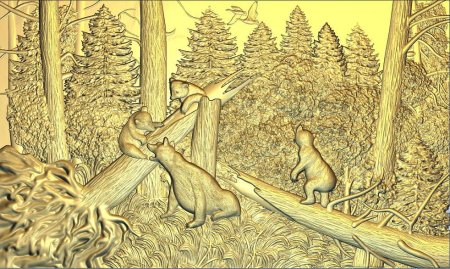 Утро в Сосновом Бору