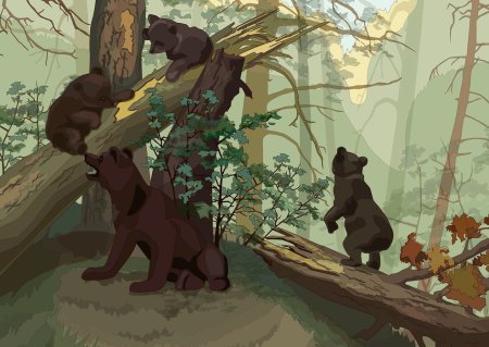 Шишкин мишки в Сосновом Бору зарисовки