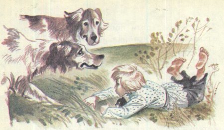Толстой котенок раскраска