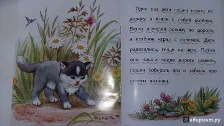Л Н толстой котенок