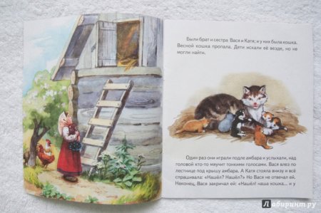 Лев толстой котенок