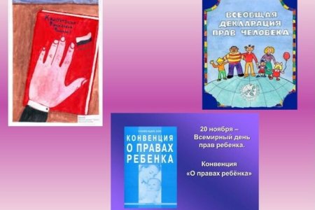 Декларация прав человека картинки