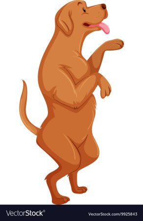 Собака на задних лапах рисунок