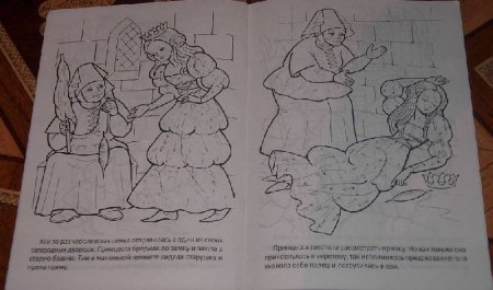 Рисунок по сказке спящая Царевна Жуковский