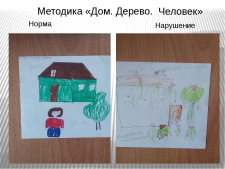 Проективная методика дом дерево человек