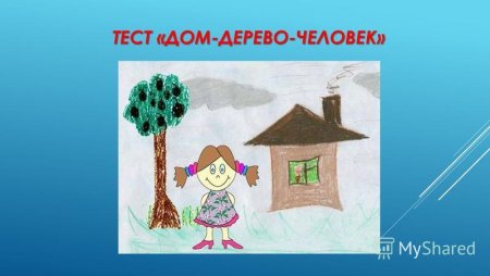 Тест дом дерево человек