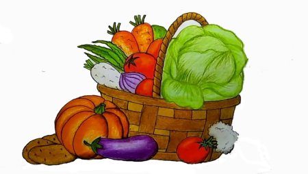 Овощи и фрукты рисунок