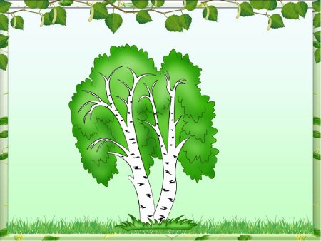 Береза для детей