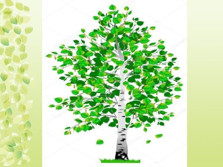 Береза мультяшный