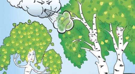 Березки мультяшные