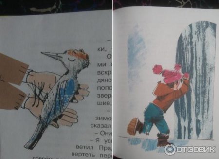 Иллюстрации к сказке два брата Евгений Шварц