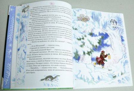 Детская книга про двух братьев