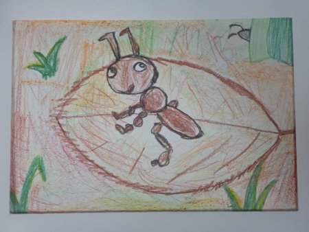 Рисунки по сказкам Бианки