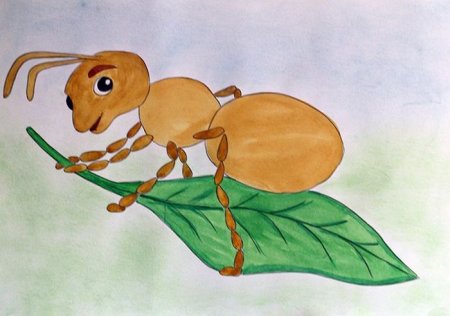 Рисунки Бианки