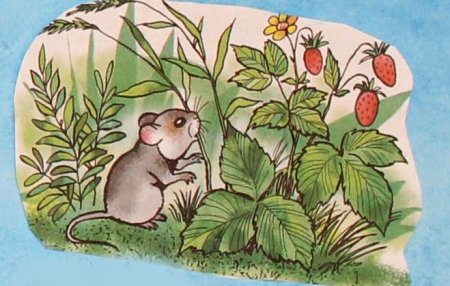 По в. Бианки куница