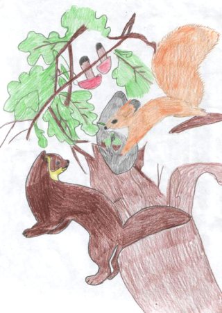 Бианки в. в. "приключения муравьишки"