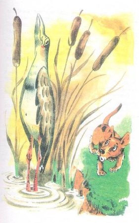 Сказка музыкант Бианки