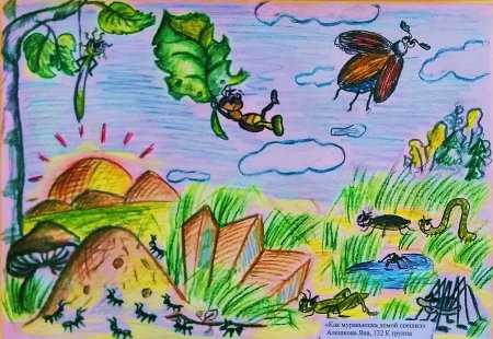 Сказки Виталия Бианки о животных книжка