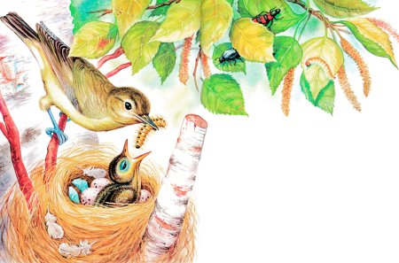 Бианки иллюстрации