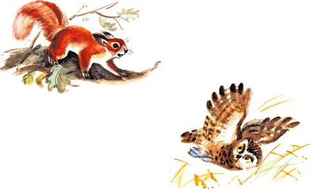 Бианки в. в. "как муравьишка домой спешил"