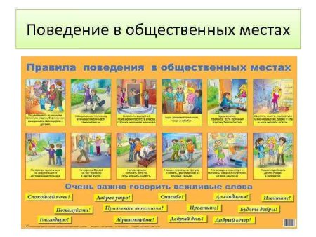 Pravela povediniya v obshestvennix mestax