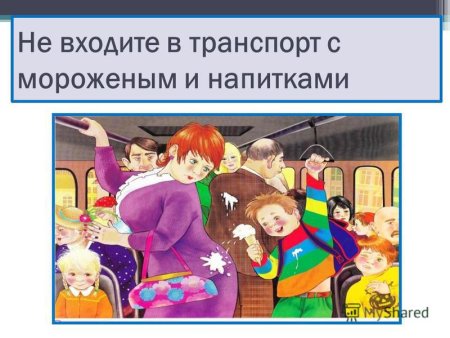 Поведение в транспорте