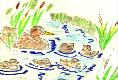 Иллюстрации к рассказу ребята и утята Пришвина