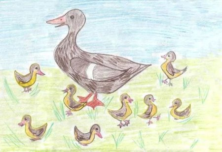 Иллюстрация к рассказу ребята и утята пришвин