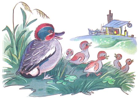 Ребята и утята