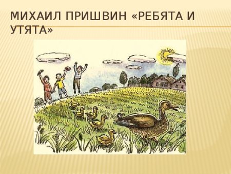 М.М.пришвин ребята и утята