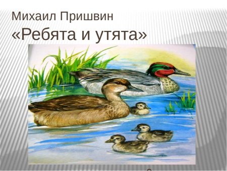 Константин Ушинский уточки